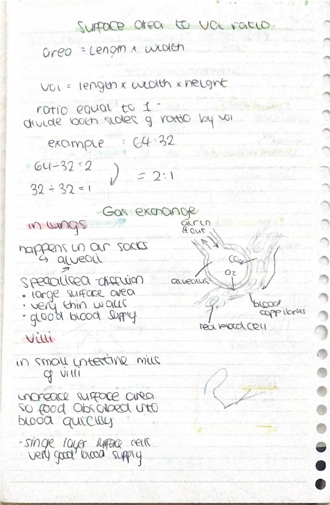 Ceus
Cell membrane - thin skin that,
surrounds the cytoplasm
and
controls what goes in and out
of the cell. (ap))
"Cytoplasm - watery fluid