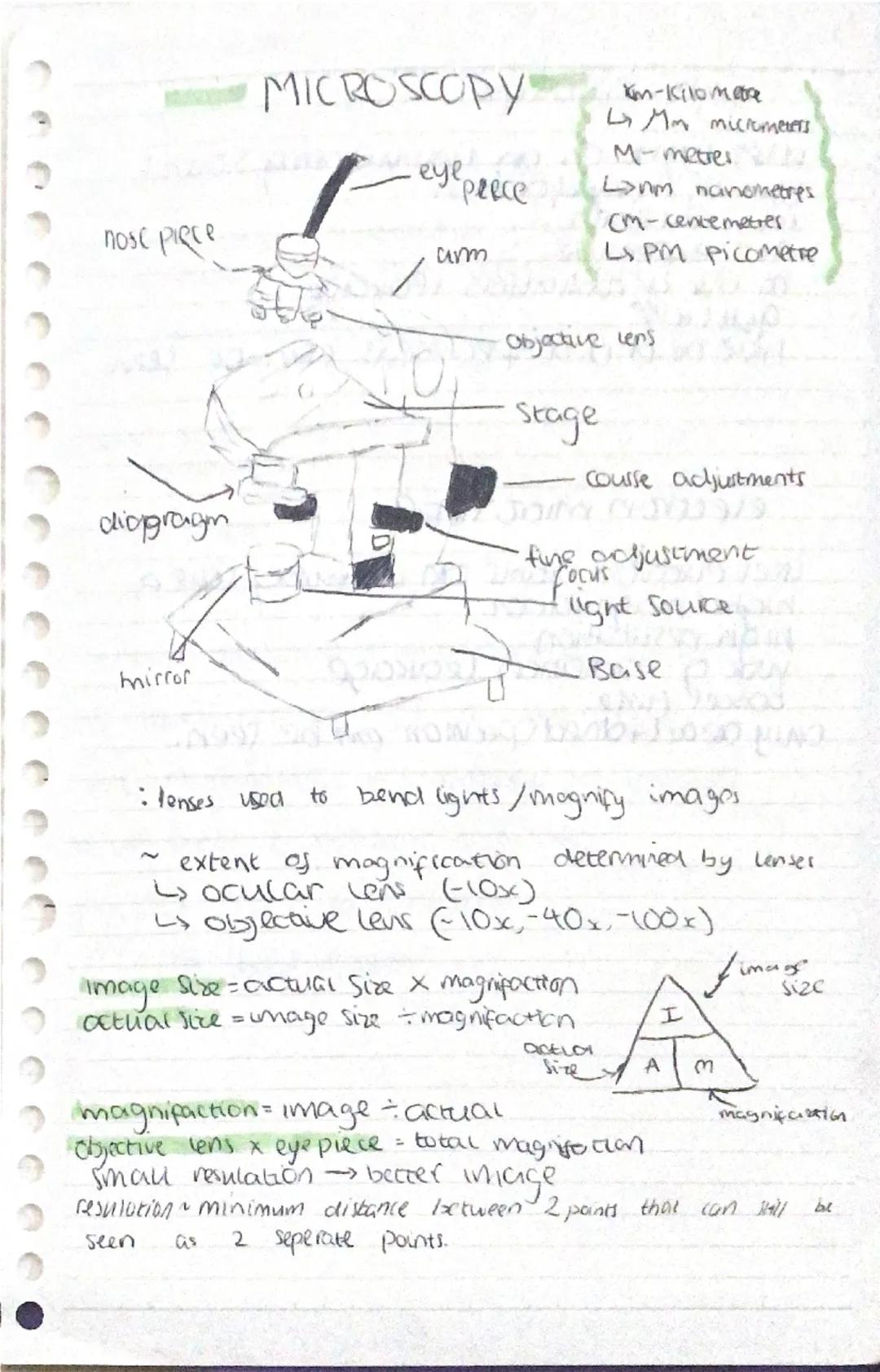 Ceus
Cell membrane - thin skin that,
surrounds the cytoplasm
and
controls what goes in and out
of the cell. (ap))
"Cytoplasm - watery fluid