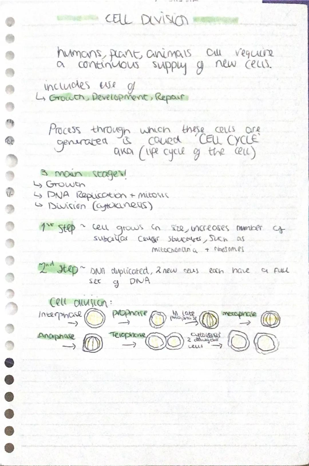 Ceus
Cell membrane - thin skin that,
surrounds the cytoplasm
and
controls what goes in and out
of the cell. (ap))
"Cytoplasm - watery fluid