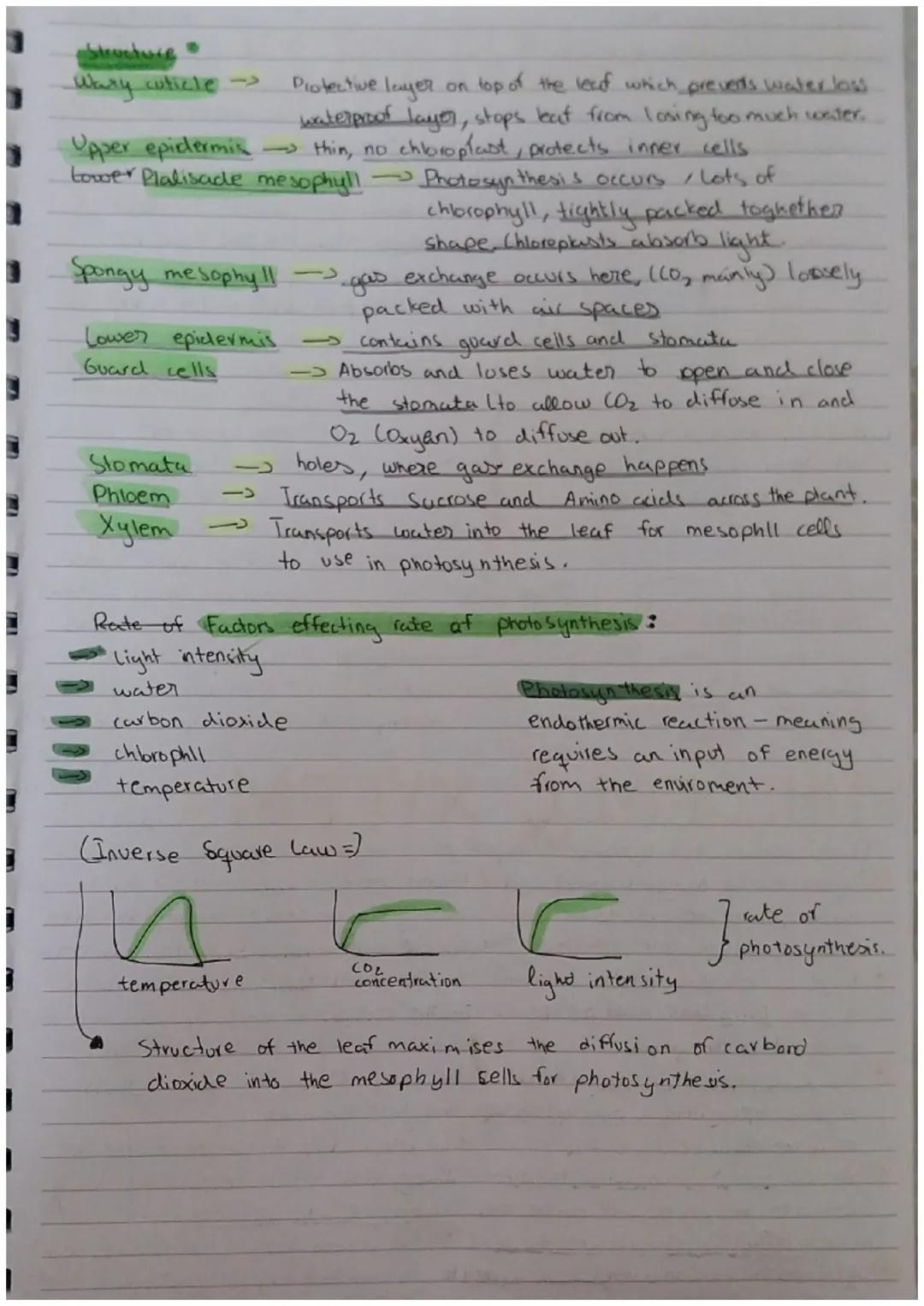 PLANT TESSUES,
ORGANS & SYSTEMS
Leaf Structure
Leaves adaptations e.g.
Plant tissues Strucures
and functions.
•Leaves are plant organs and t