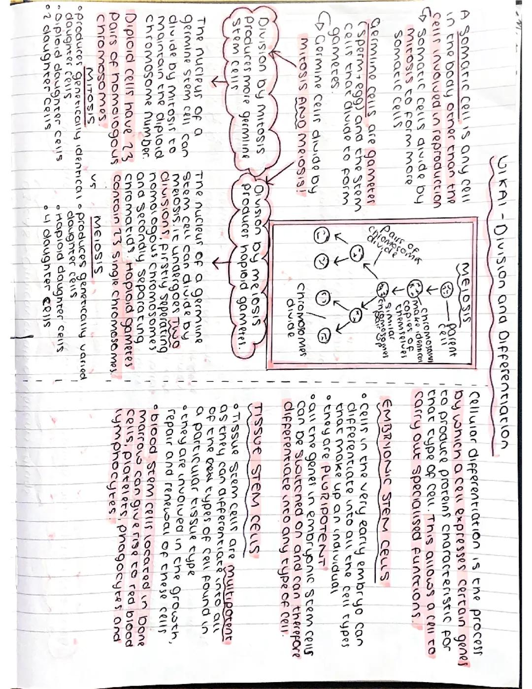 UNIT 1 Higher Human Biology notes