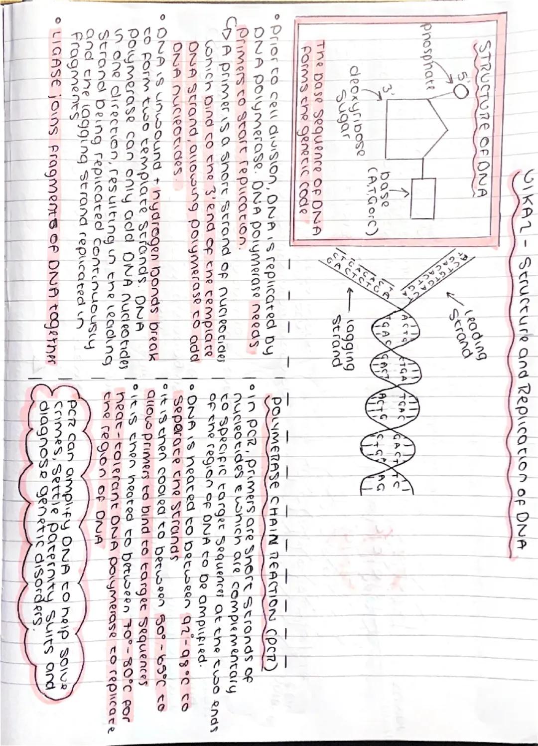 VIKAI-DIVision and Differentiation
A Somatic cell is any cell
in the body other than the
cells involved in reproduction
somatic cells divide