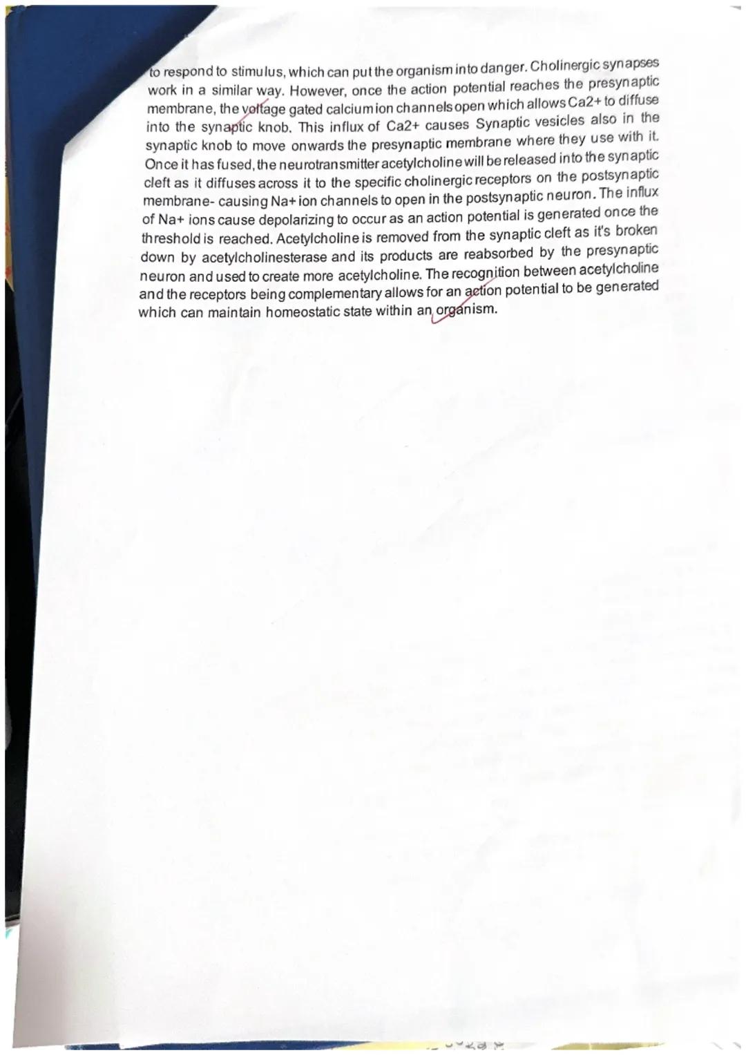 2012 Essay a: The Importance of shapes fitting together in cells and organisms
Essay Mark
Topic
23.115
covered
comments
3.1.2 Enzyme propert