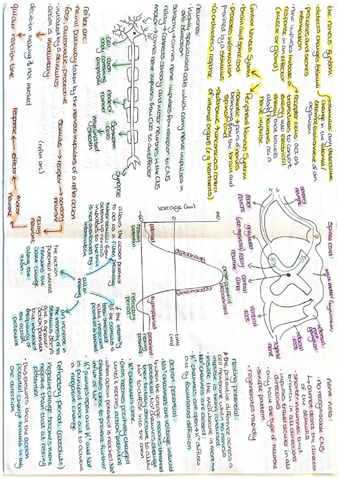 WJEC A Level Biology Unit 3.8