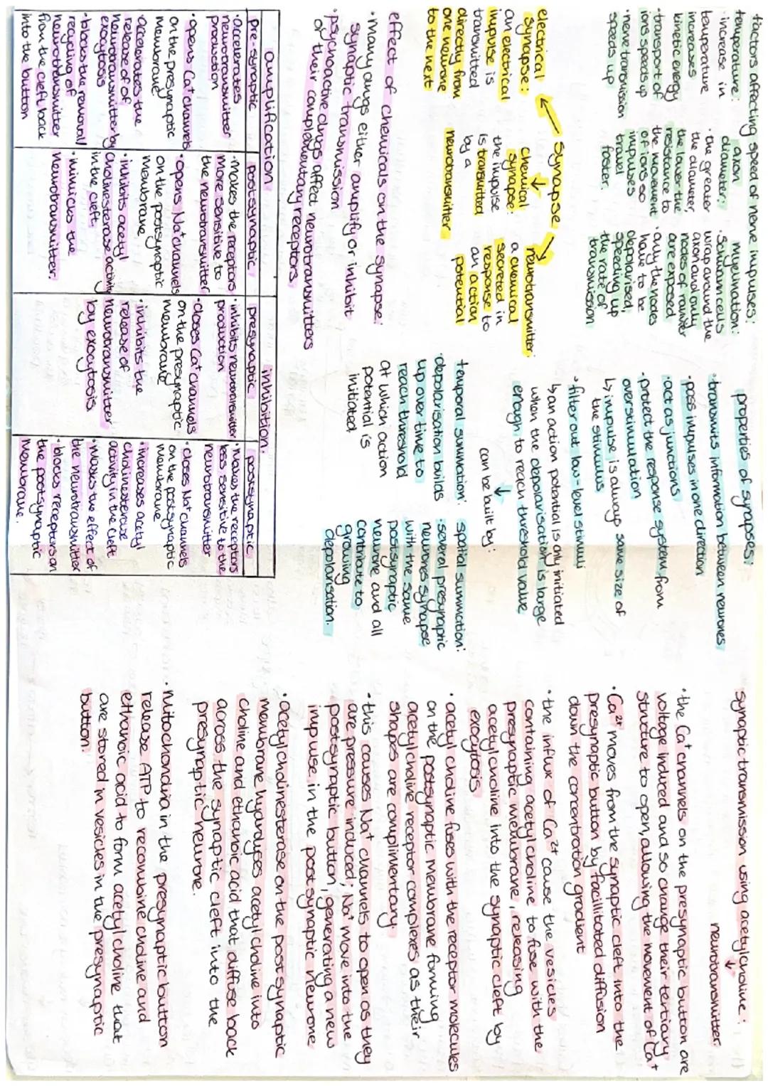 Spinal Cord
white matter (myelinated)
-dorsal
root
ganglian
dasal
root
the nervous system:
•changes/stimuuli
-detects
•processes and stores