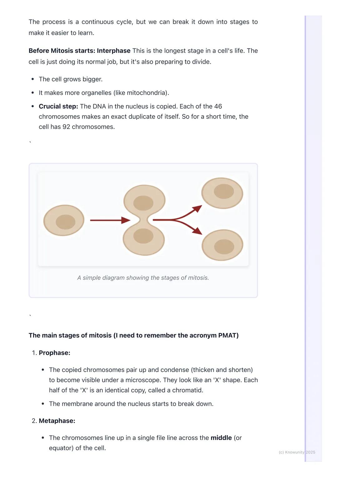 # Cell Division (Mitosis)
What is mitosis and why is it important?
Mitosis is a type of cell division. It's the process our body cells use