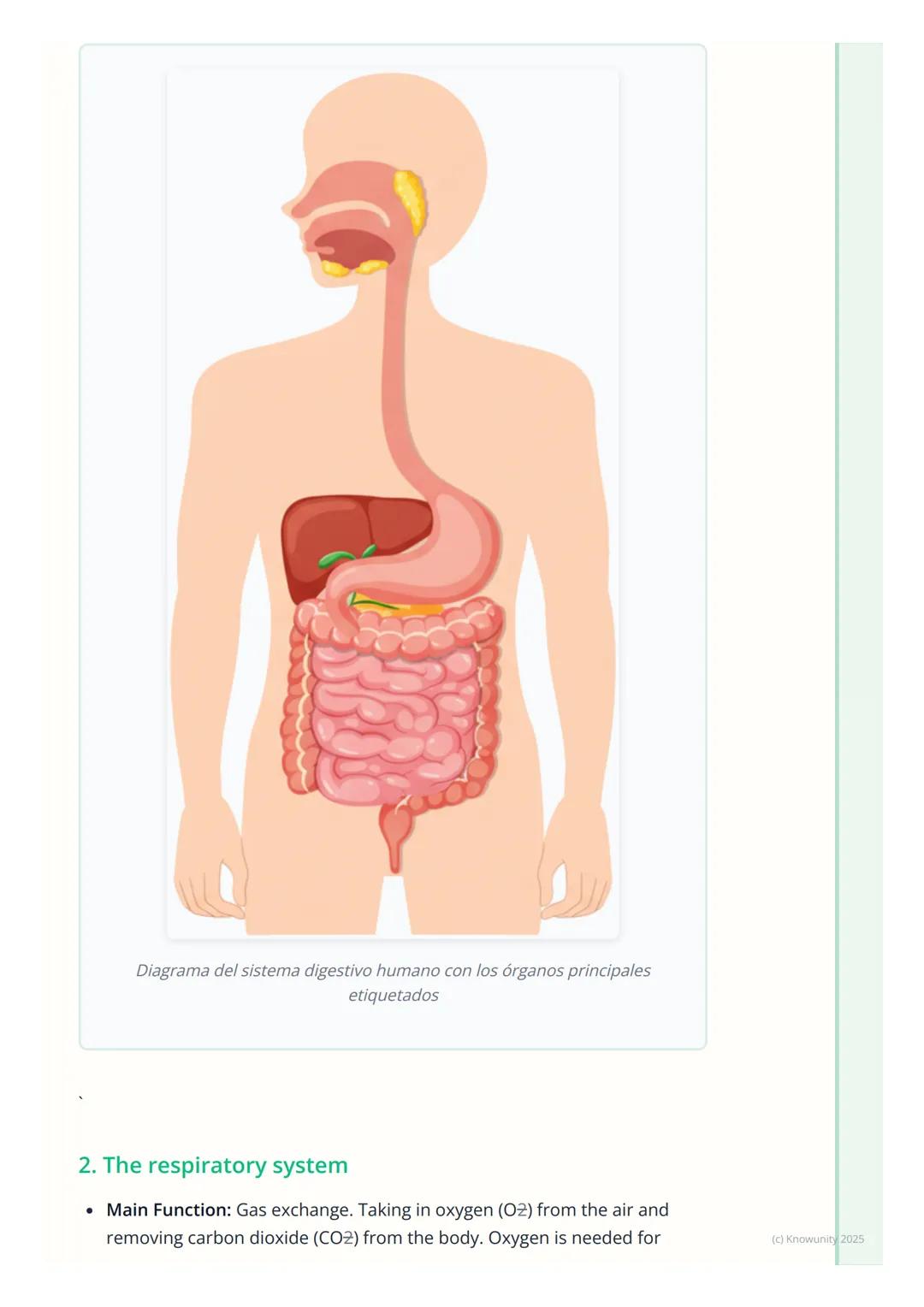 # Human Body Systems
An overview of body systems
Okay, so the human body is incredibly complex. It's not just one big thing,
but a collect