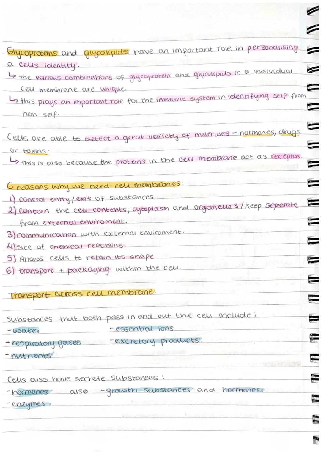 Cell Membranes and Transport = unit 1.3.
The structure of the cell membrane i plasma membrane)
Cel Membrane
L> controls the materials that e