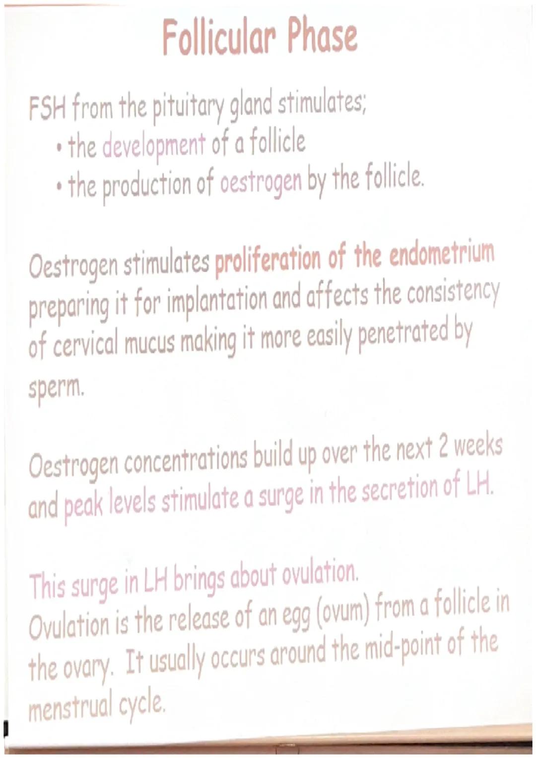 # The Menstrual Cycle
• The hormones LH, FSH,
progesterone and oestrogen
interact to form the synchronised
menstrual cycle in women.
• The