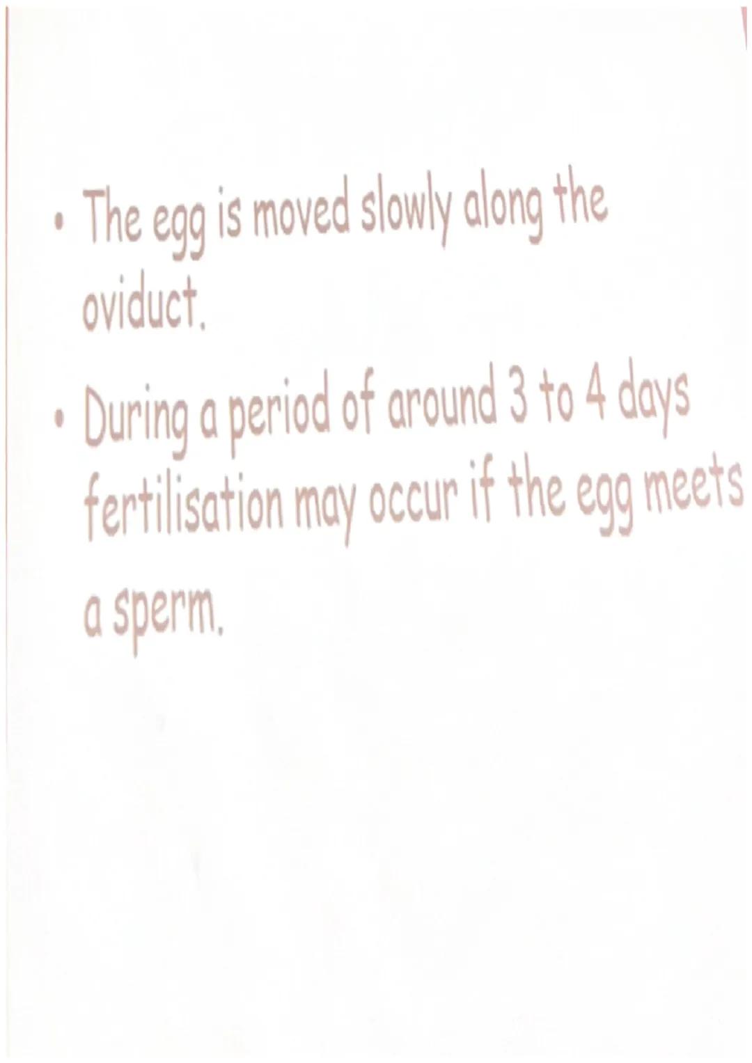 # The Menstrual Cycle
• The hormones LH, FSH,
progesterone and oestrogen
interact to form the synchronised
menstrual cycle in women.
• The