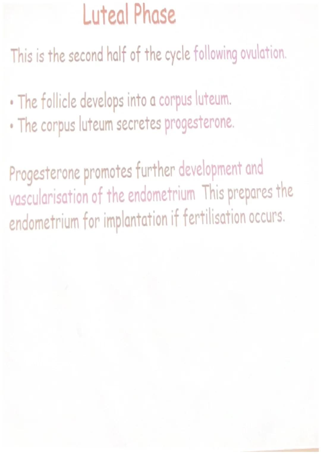 # The Menstrual Cycle
• The hormones LH, FSH,
progesterone and oestrogen
interact to form the synchronised
menstrual cycle in women.
• The