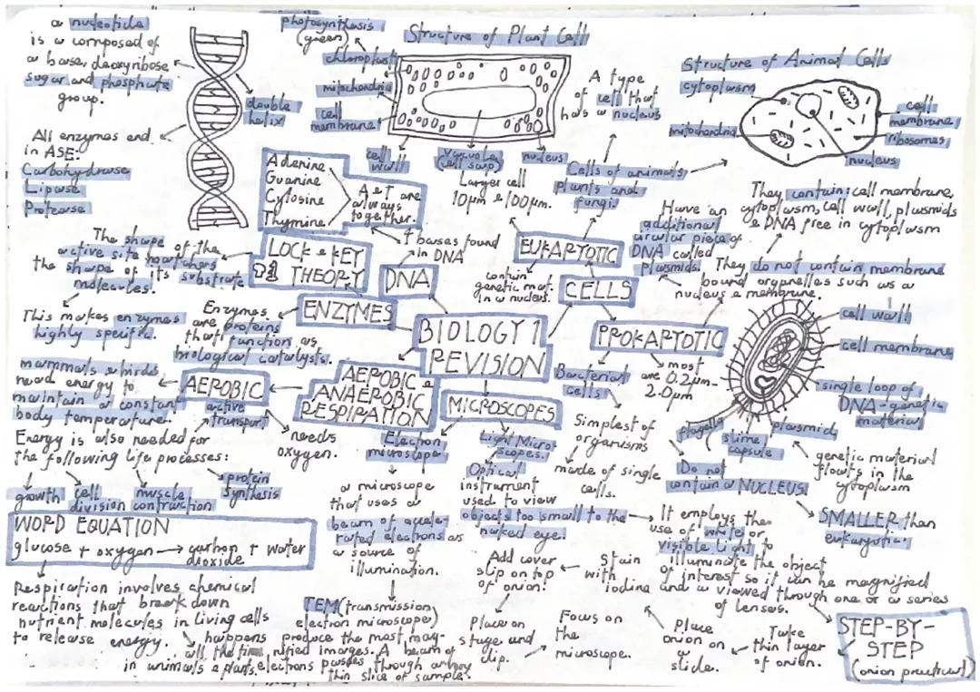 biology topics B1-B3 mind maps