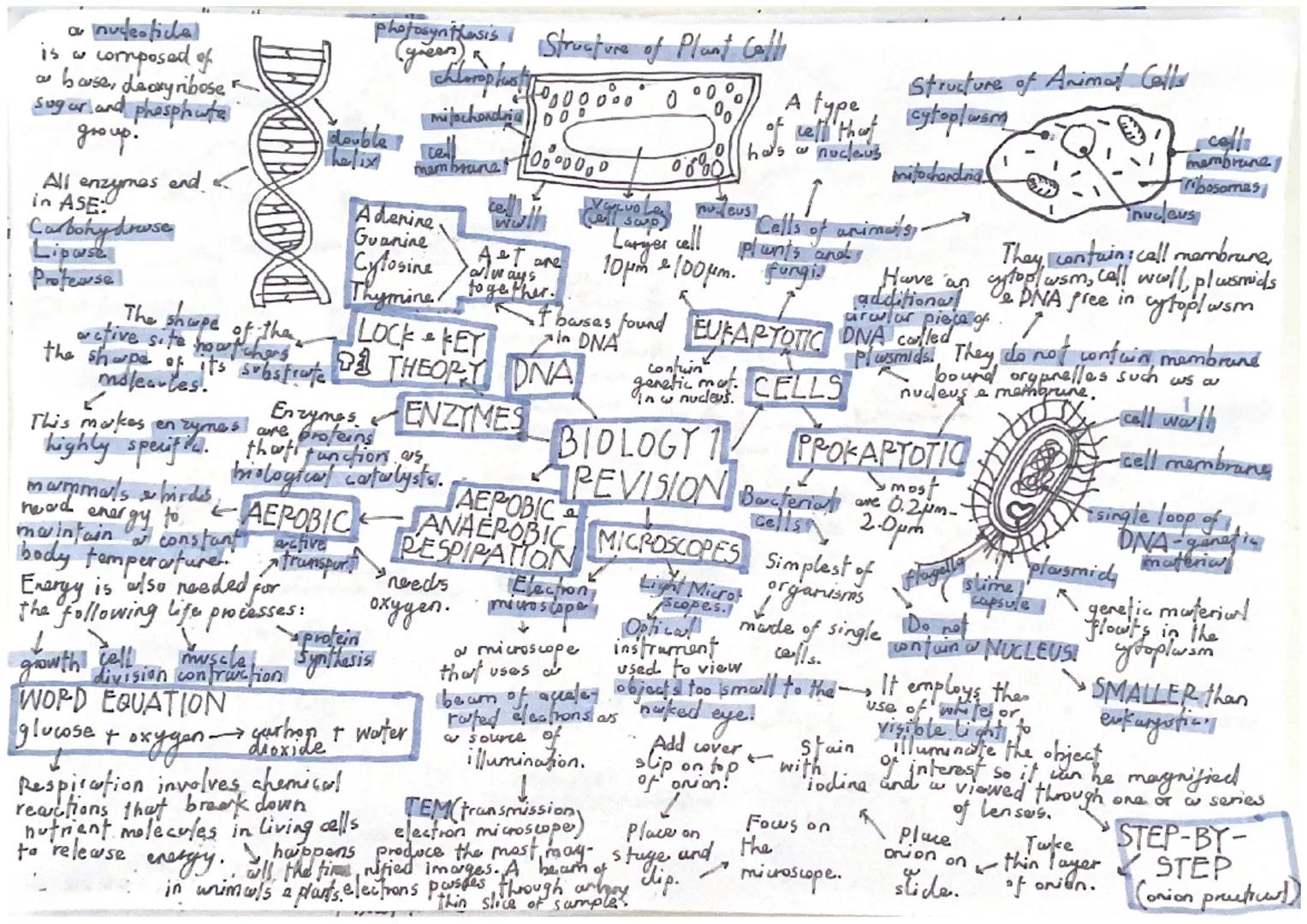 nude-fichal
15 w composed of
base, deoxyribose
sugar and phosphate
group.
All
in ASE
end
enzymes
Carbohydowse
Lipase
Protease!
گا
حي
DO04
WO