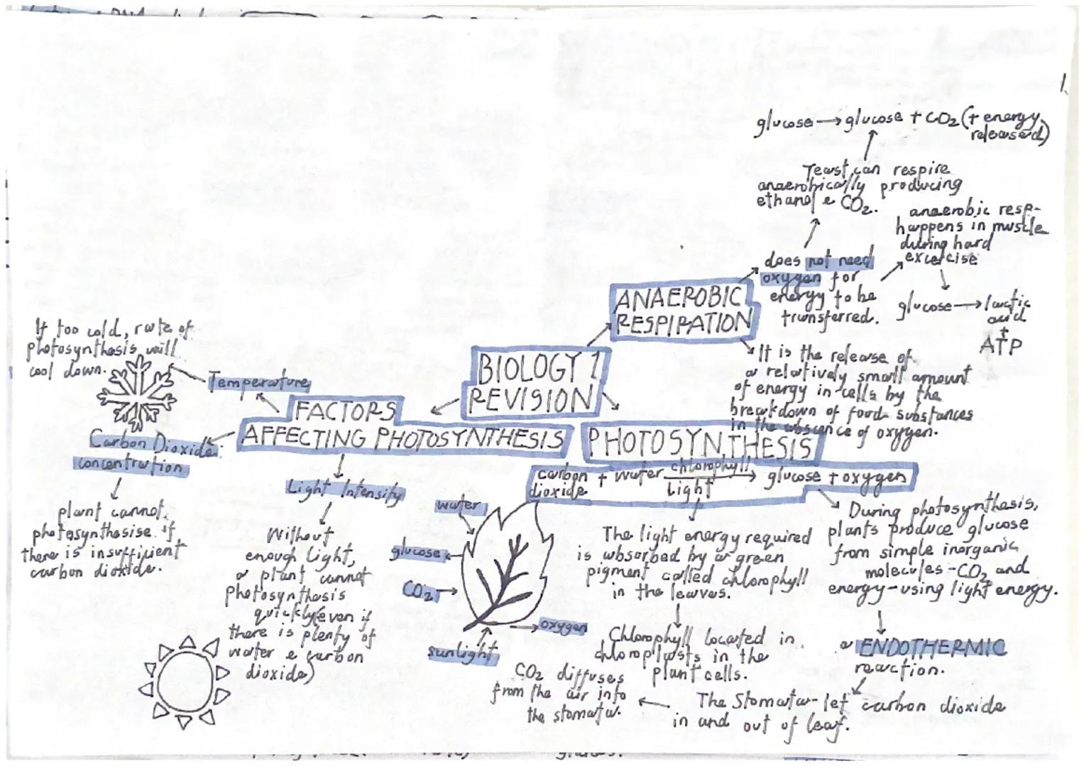 nude-fichal
15 w composed of
base, deoxyribose
sugar and phosphate
group.
All
in ASE
end
enzymes
Carbohydowse
Lipase
Protease!
گا
حي
DO04
WO