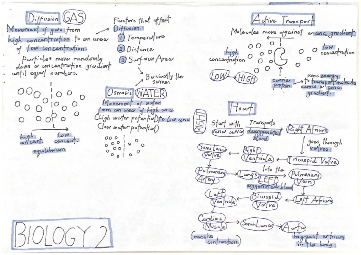 nude-fichal
15 w composed of
base, deoxyribose
sugar and phosphate
group.
All
in ASE
end
enzymes
Carbohydowse
Lipase
Protease!
گا
حي
DO04
WO