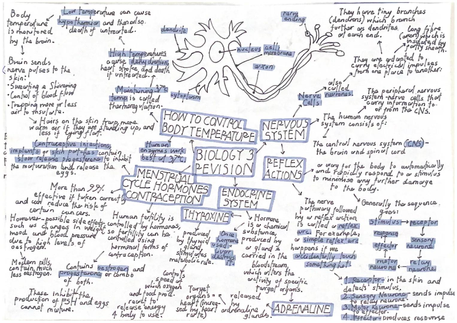 nude-fichal
15 w composed of
base, deoxyribose
sugar and phosphate
group.
All
in ASE
end
enzymes
Carbohydowse
Lipase
Protease!
گا
حي
DO04
WO