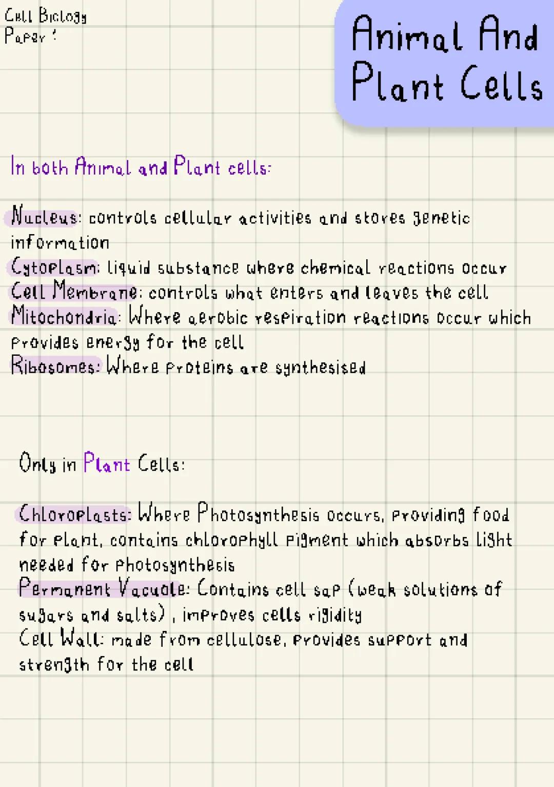 Animal and Plant Cells