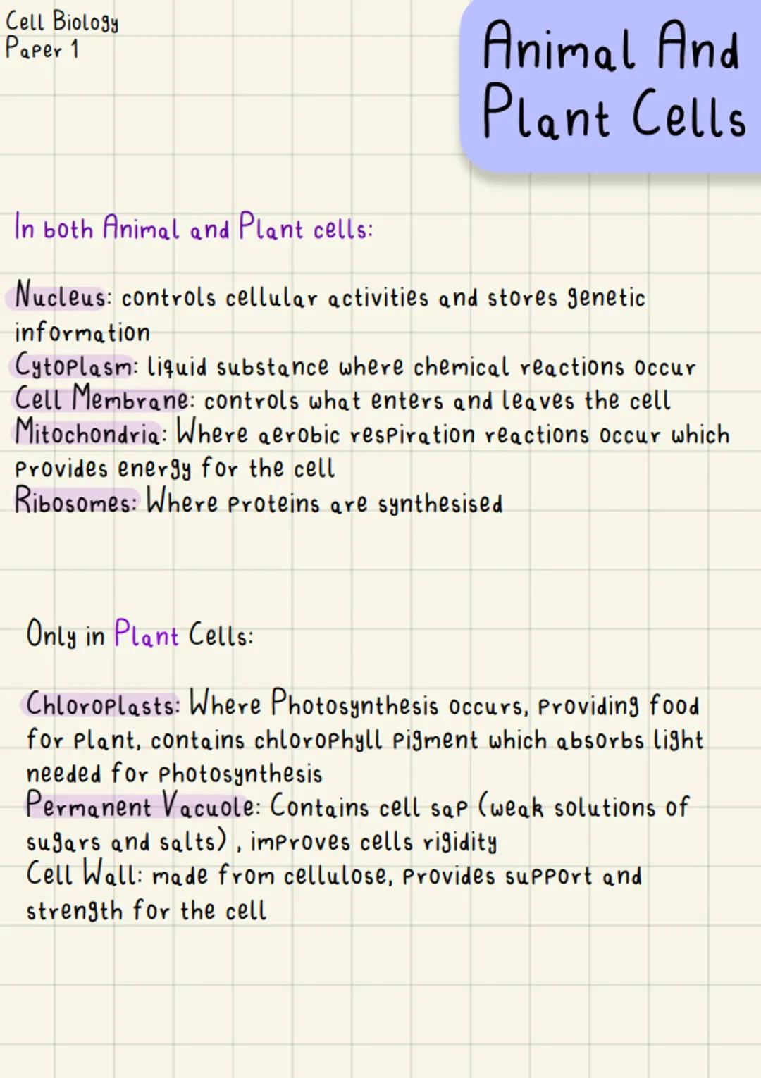 Cell Biology
Paper 1
Animal And
Plant Cells
In both Animal and Plant cells:
Nucleus: controls cellular activities and stores genetic
informa