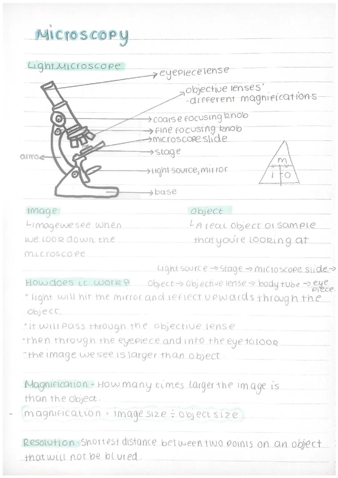 Microscopy
Light Microscope
arms
image
Limagewesee when.
we look down the
microscope
→ eyepiece lense
objective lenses'
-different magnifica
