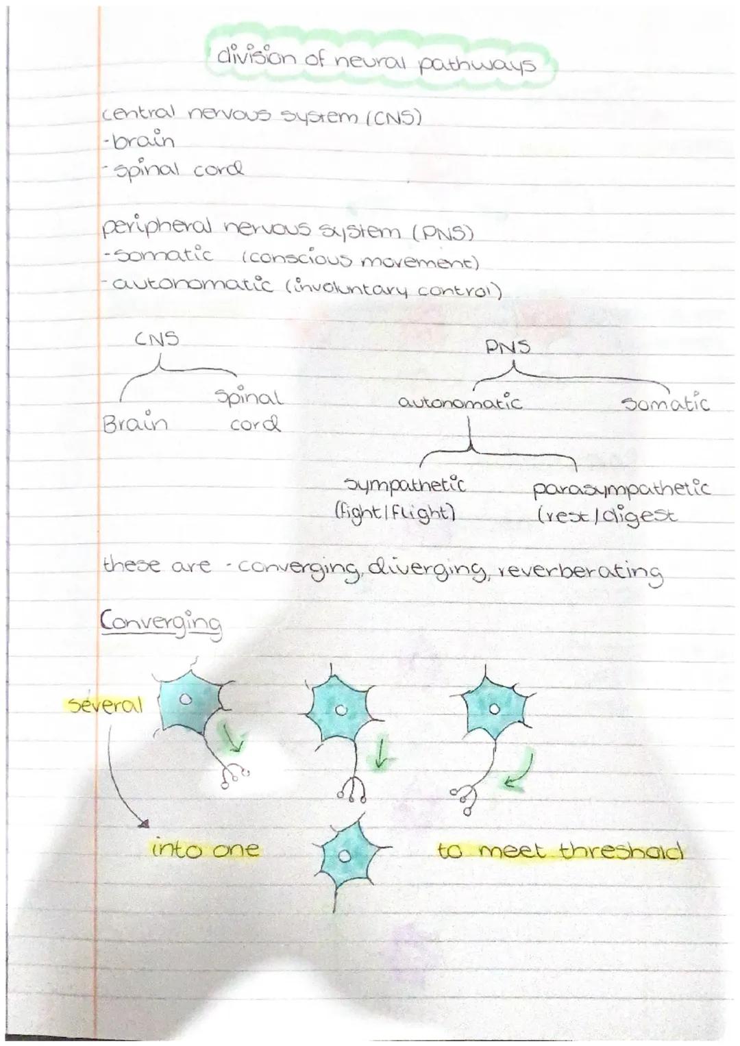# NEUROBIOLOGY
AND
IMMUNOLOGY defence
non-specific
• the skin acts as a physical barrier with epithelial cells.
Secretions like mucus
k