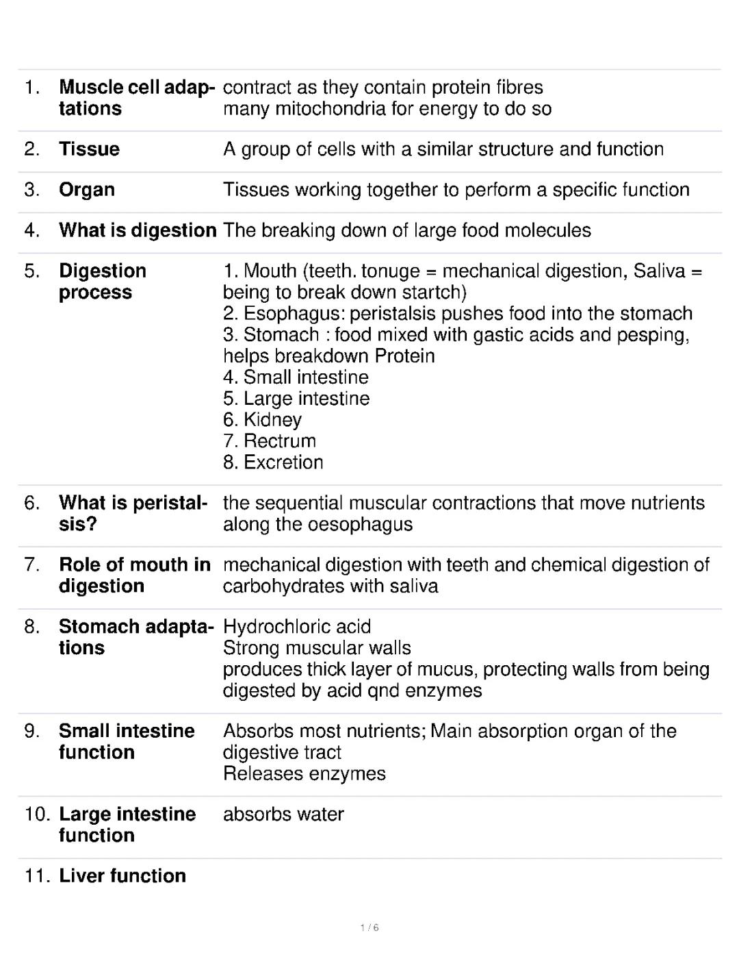 Digestion and enzymes