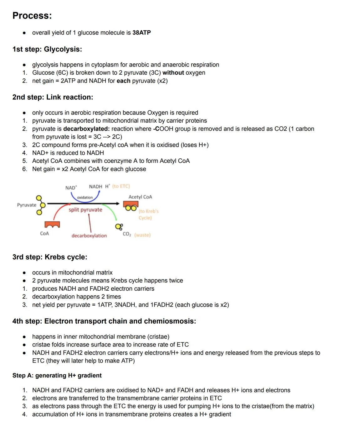 C8.1 Metabolism
Key Words
Metabolism
Metabolic pathways
Catalysts
Inhibitor
●
●
Definition
sum total of all chemical reaction that occur in