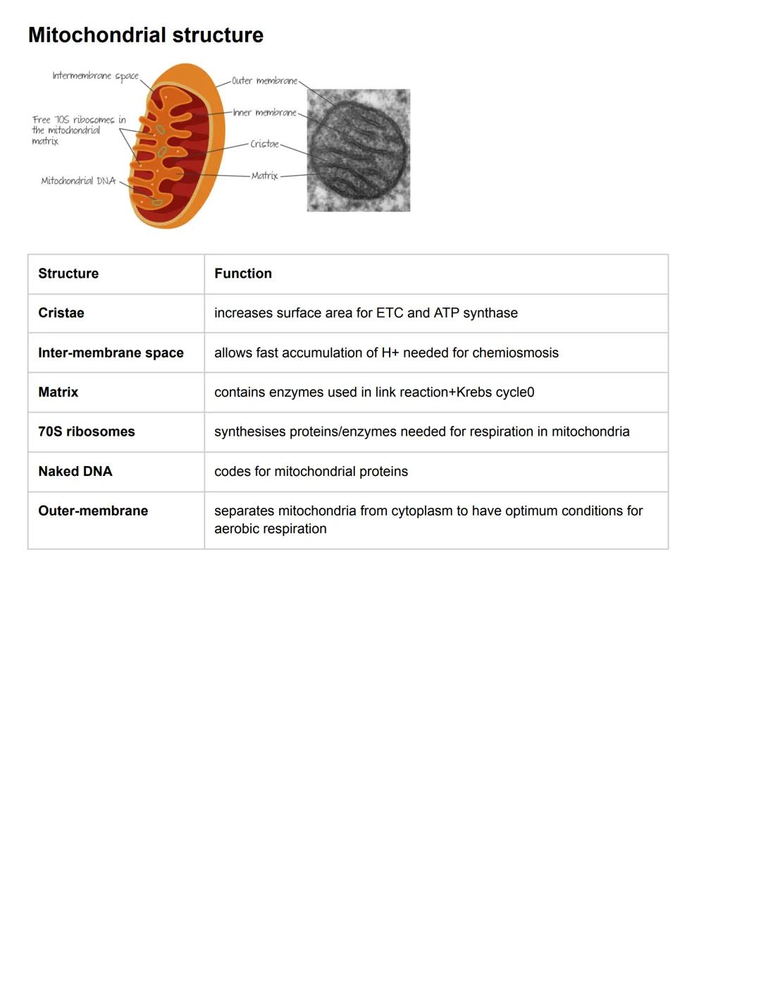 C8.1 Metabolism
Key Words
Metabolism
Metabolic pathways
Catalysts
Inhibitor
●
●
Definition
sum total of all chemical reaction that occur in
