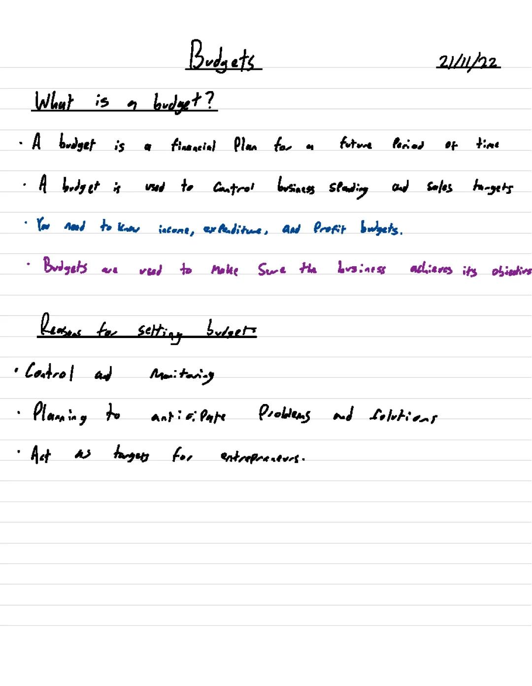 Business Studies A-Level - Budgets