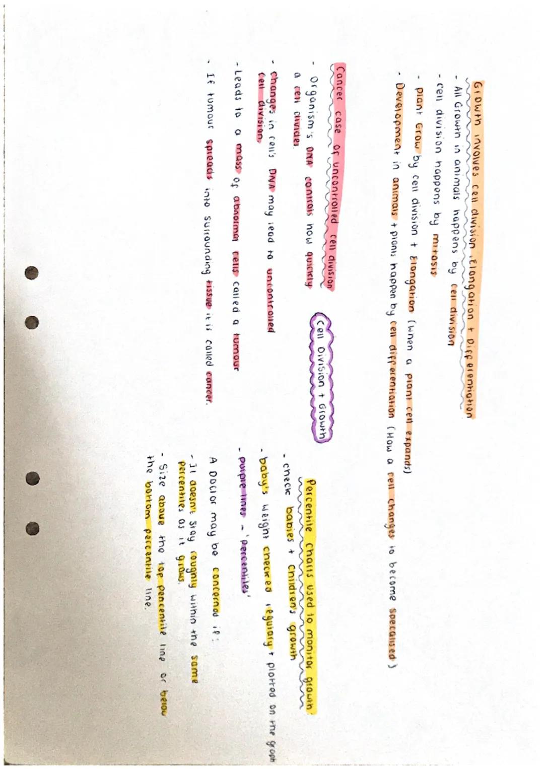 Interphase
Parent cell
prophase
Metaphase ↓
Anaphase
Telophase
A
new
nucleus
cytokinesis L
↓
00 00
7
daughter cell
Interphase:
DNA Spread in