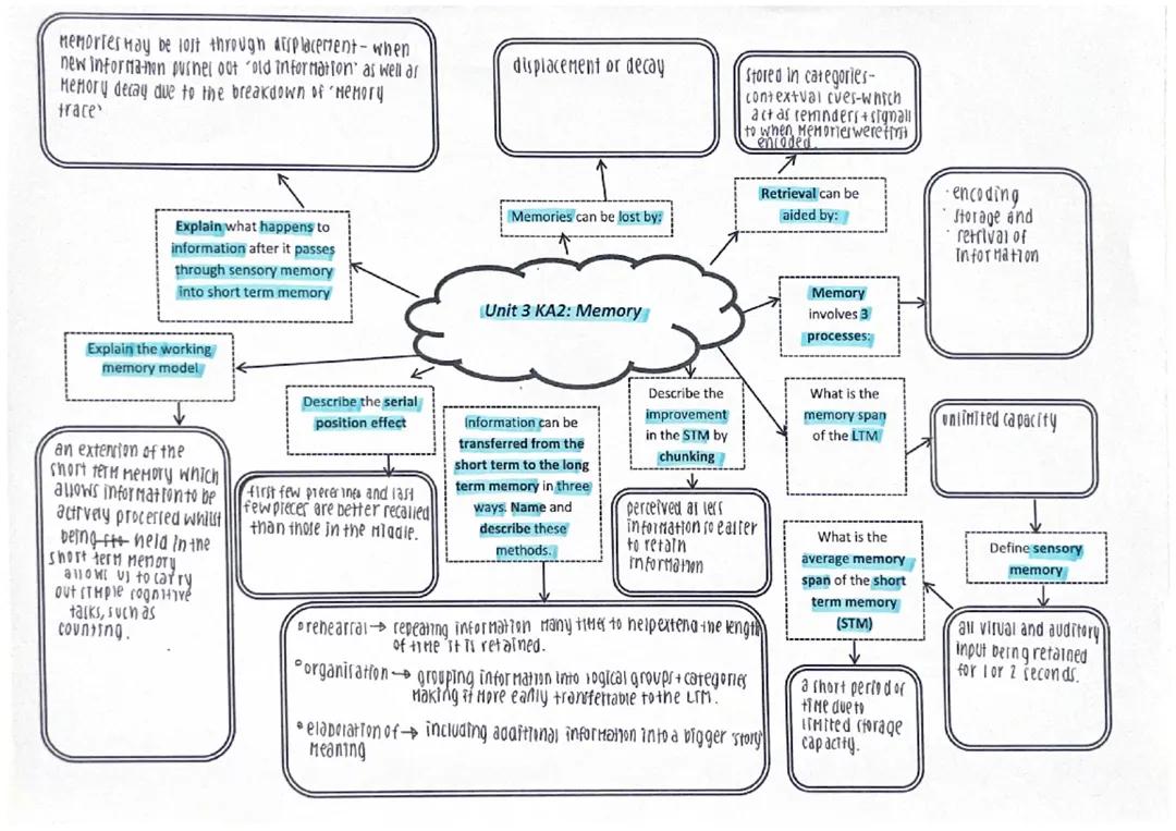 HH Bio - unit 3 - memory mindmap and revision