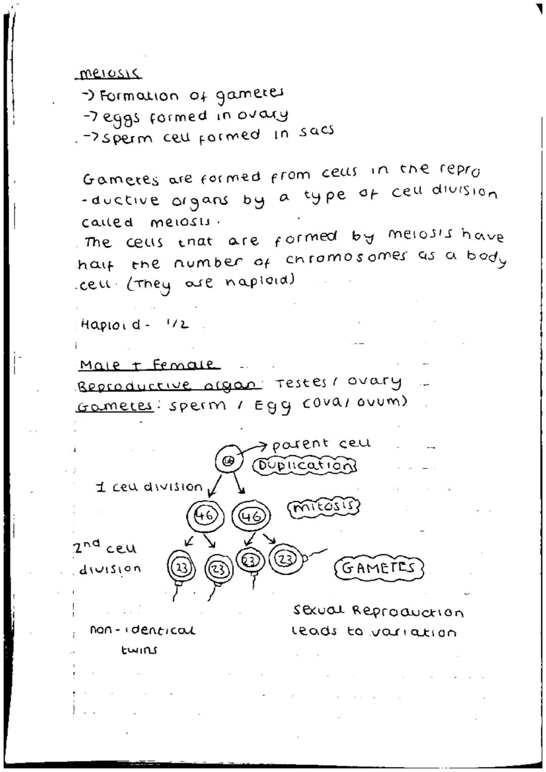 → body ceus have 23 pairs of chromosomes
ccontain a nucleus) or 46 in total.
→Red blood cells doesn't have nucleus.
→23 from mother 23 from