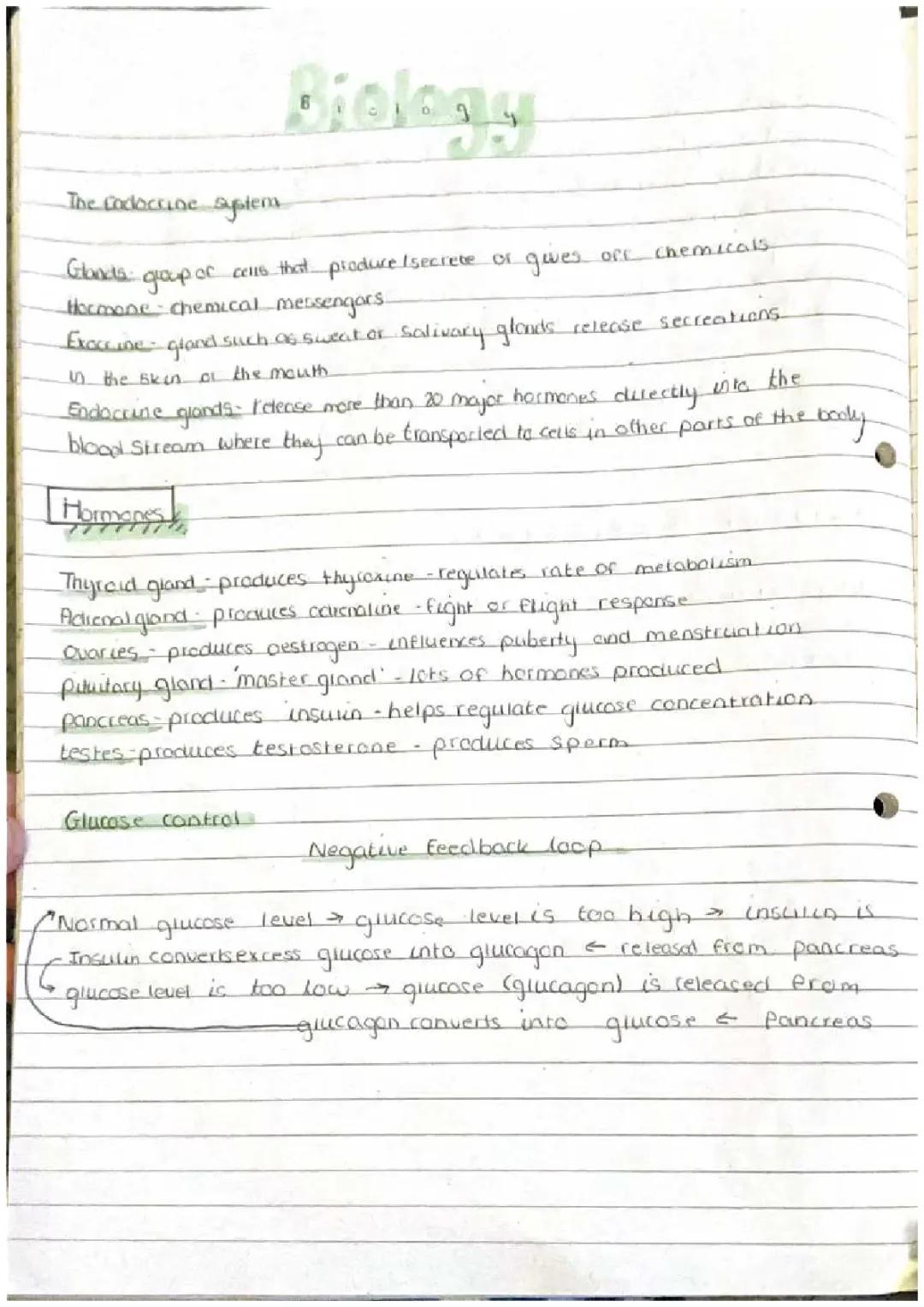 Easy Biology Notes: Endocrine Glands, Human Eye, and Genetic Engineering