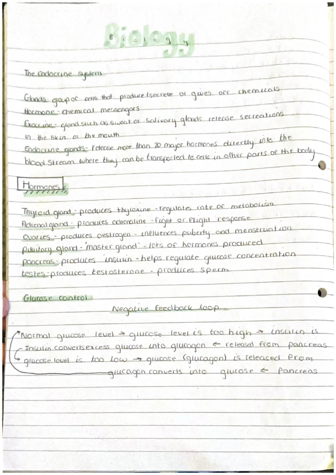The Endocrine system.
Biology
Glands
group of cells that
produce
Hormone - chemical messengars
Exocrine
in the skin of the mouth
into the
En