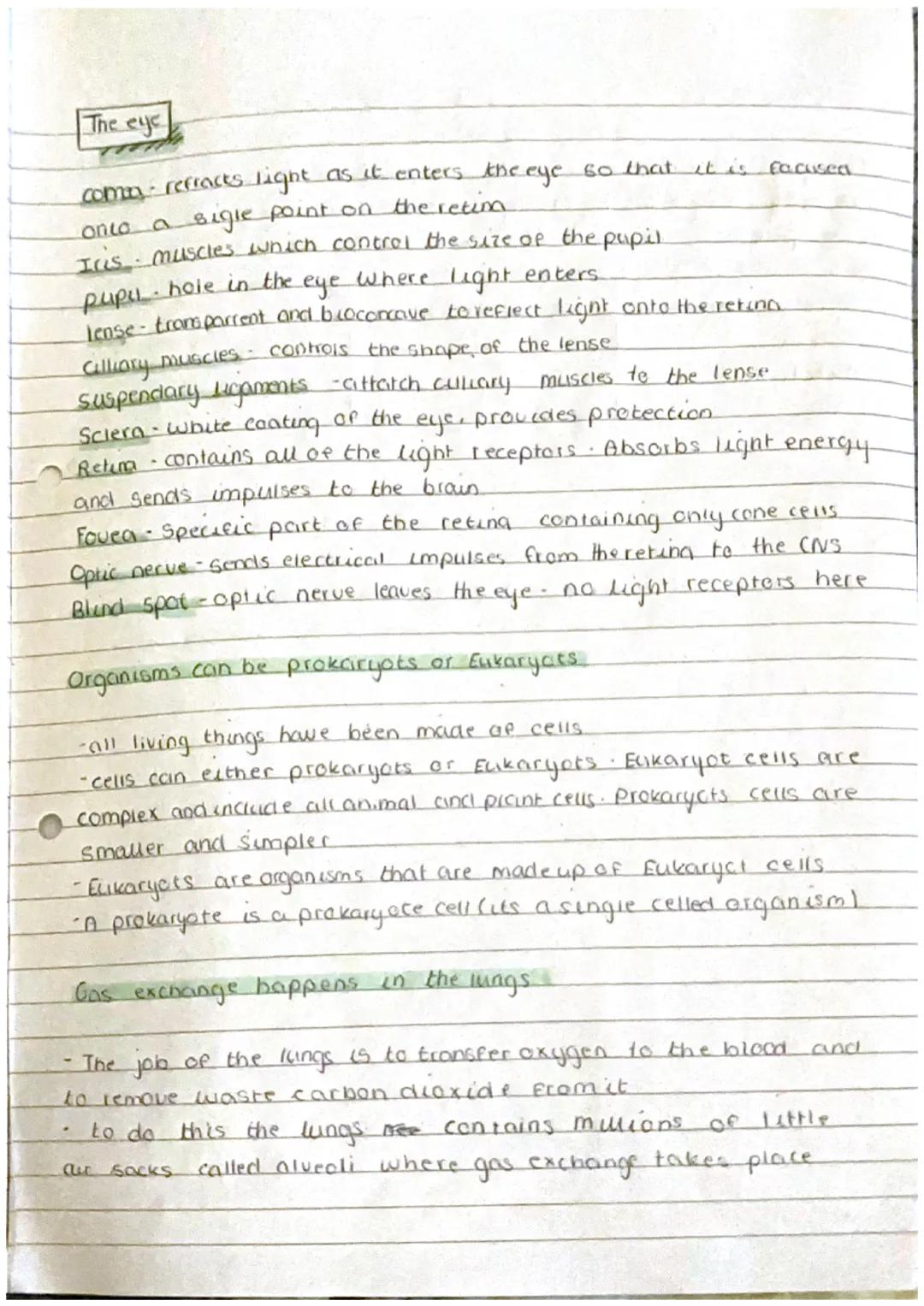 The Endocrine system.
Biology
Glands
group of cells that
produce
Hormone - chemical messengars
Exocrine
in the skin of the mouth
into the
En