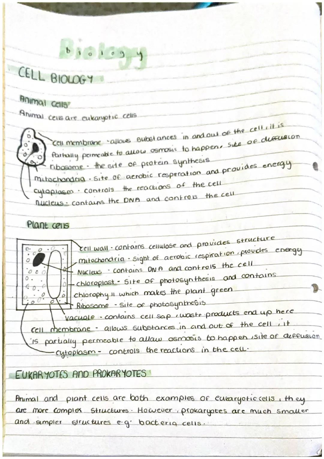 The Endocrine system.
Biology
Glands
group of cells that
produce
Hormone - chemical messengars
Exocrine
in the skin of the mouth
into the
En