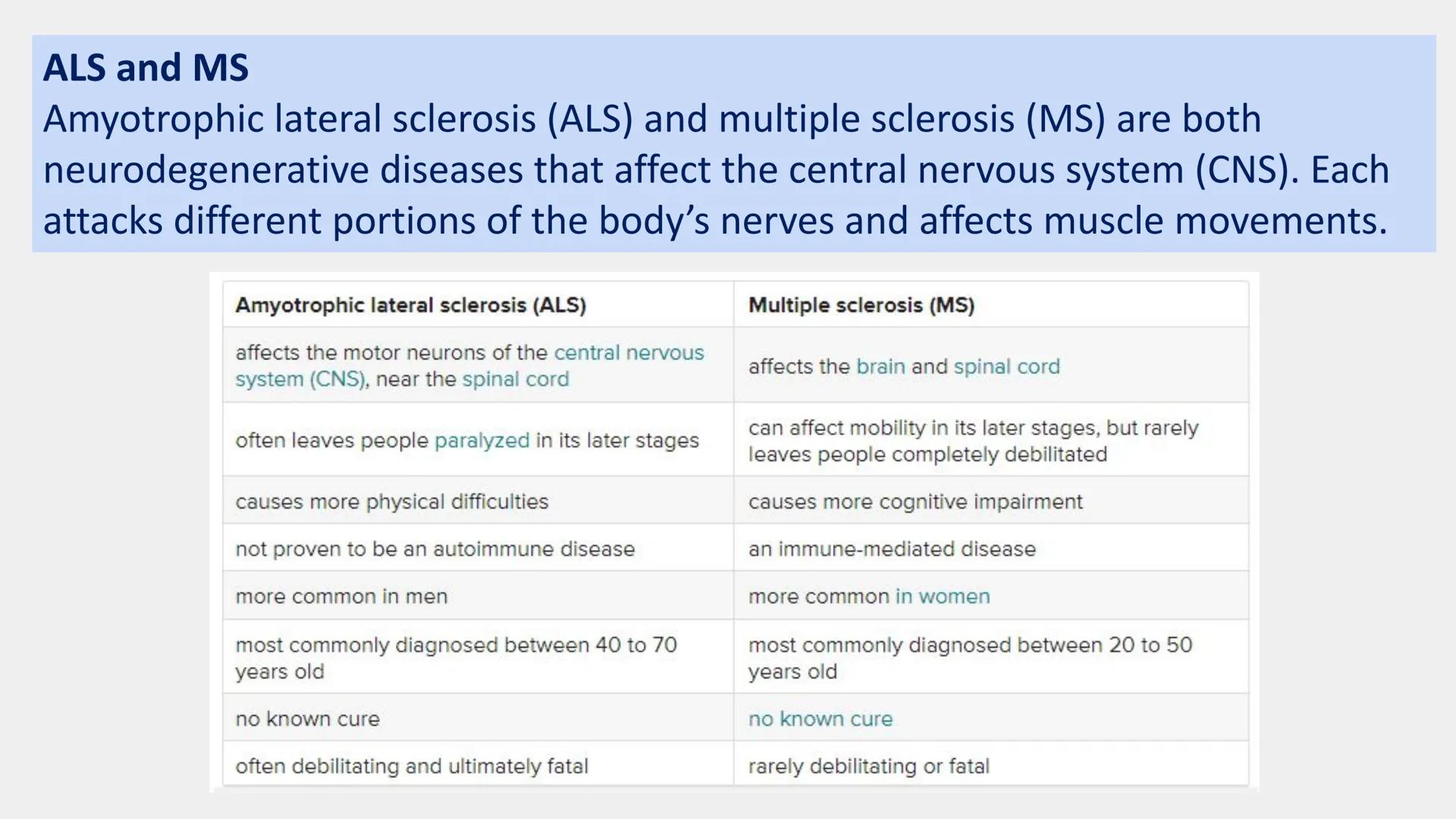 Neurones
Neurones are specialised cells which carry information either from the receptors
to the brain or from the brain to the effectors.
T