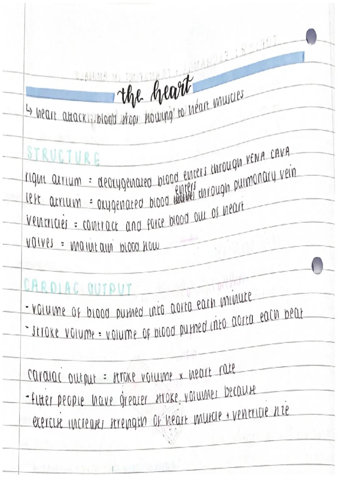 TOPICS: EXCHANGE + TRANSPORT IN ANIMALS
transport exchange.
↳metabousm produces waste → must be excreted / removed
e.q. carbon dioxide remov