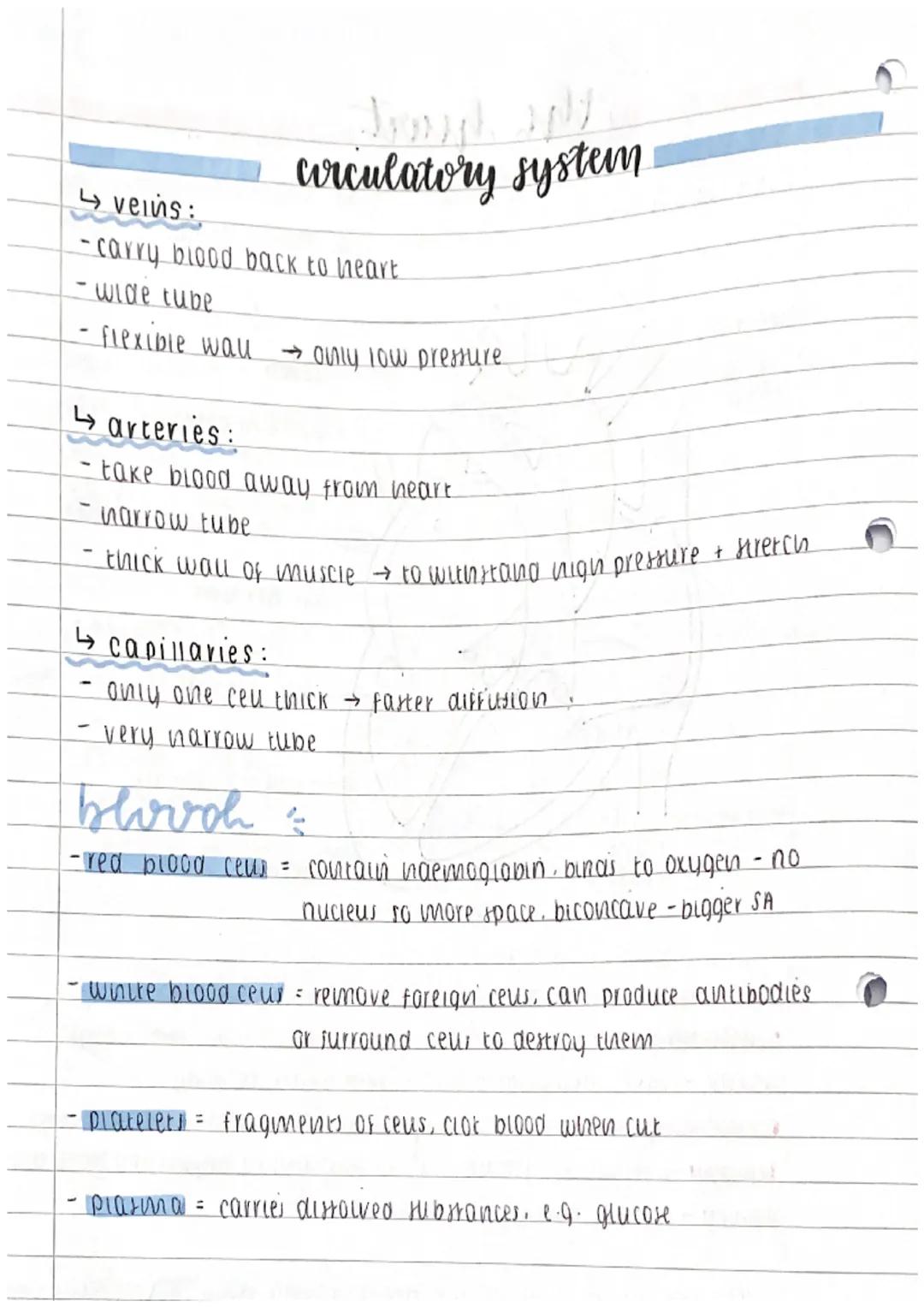 TOPICS: EXCHANGE + TRANSPORT IN ANIMALS
transport exchange.
↳metabousm produces waste → must be excreted / removed
e.q. carbon dioxide remov