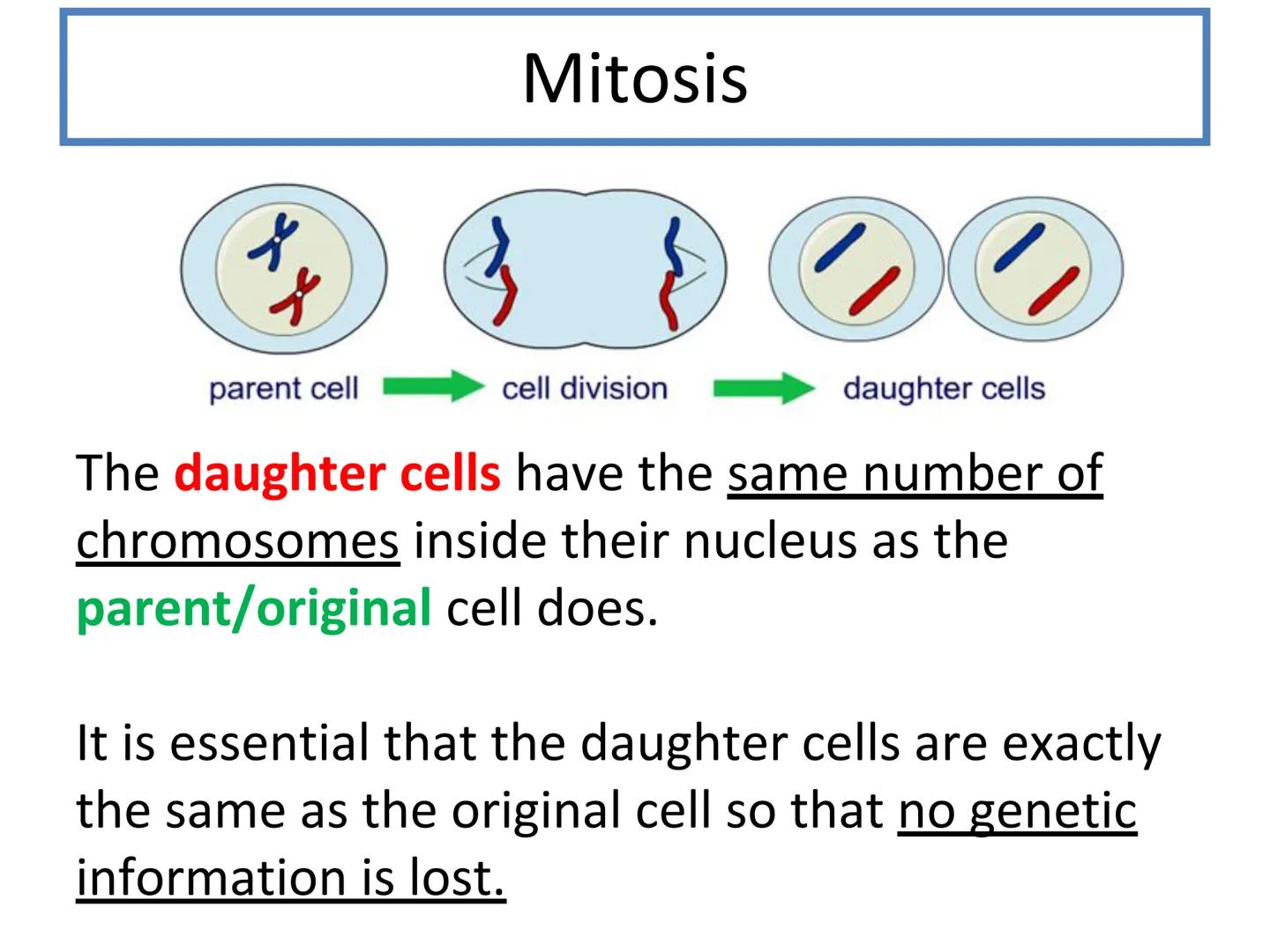 N5 Unit 2 KA1
Producing New Cells N5 biology course
1. Cell Biology
2.
3. Life on Earth
Multicellular Organisms Unit 2 - Multicellular organ