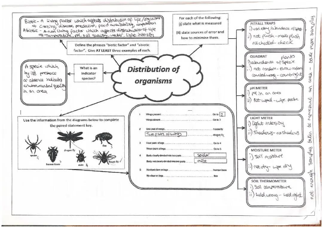 N5 unit 3 summary mind maps