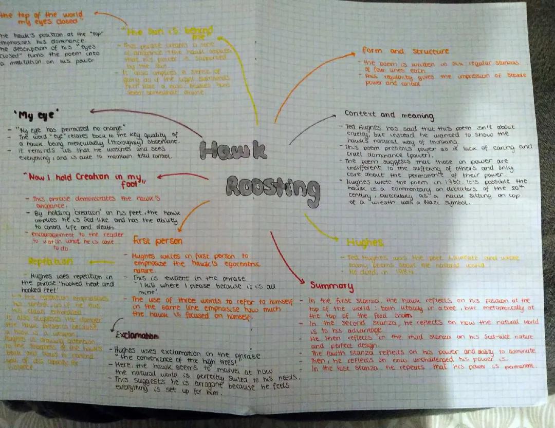Hawk roosting annotations