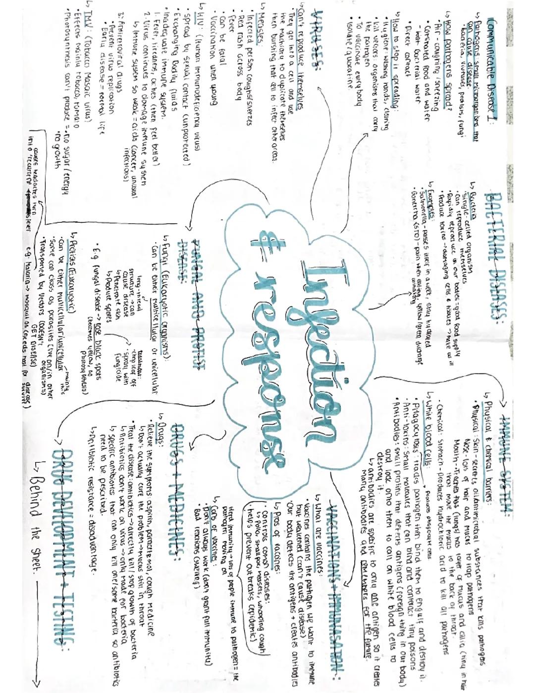 Infection & Response