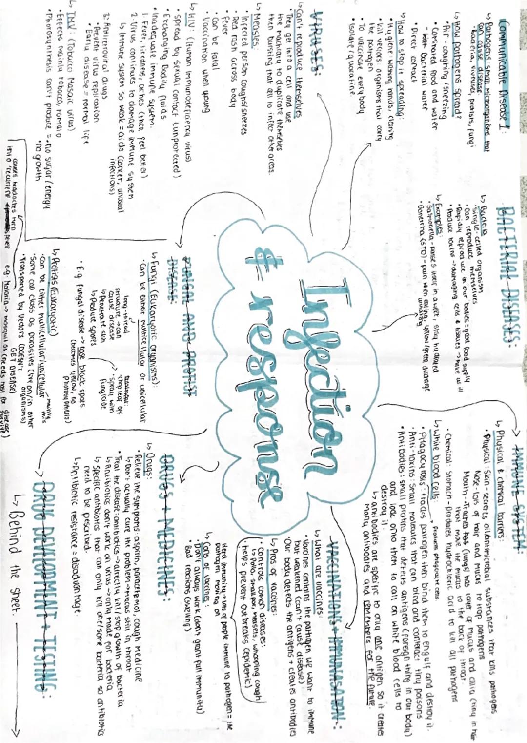 Communicable Disease 1:
-> Pathogens small Microrganisms that
can cause disease.
•Baderia, vivruses, protists, fungi
How pathogens spread?
A