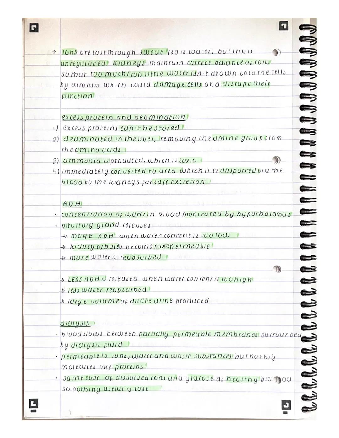 paper 2 noteske
→ homeostasis = the regulation of internal conditions to
maintain a stable internal environment in response to internal.
and