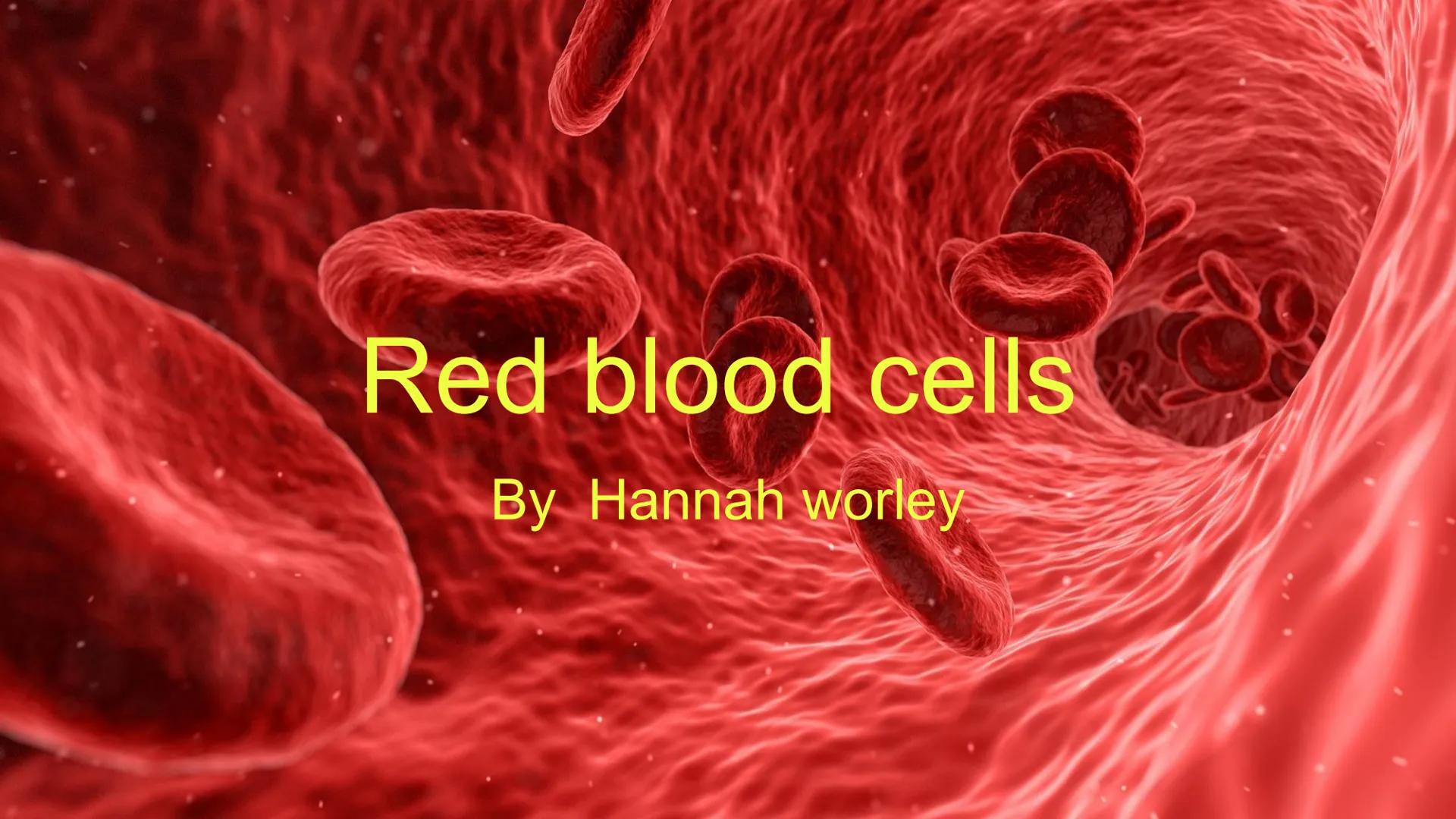 # Red blood cells
By Hannah worley # What is a red blood cell?
Red blood cells have the most important job of carrying oxygen. These cells