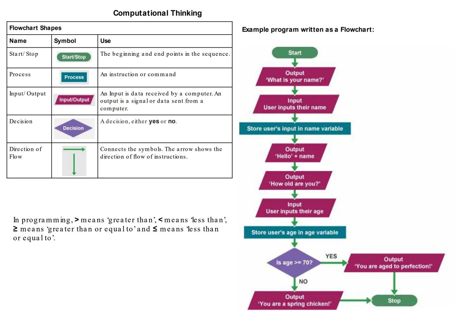 Computational Thinking Vocab
Computational
Thinking
Abstraction
Decomposition
Pattern Recognition
Algorithm
Program
Programming
Flow chart
P