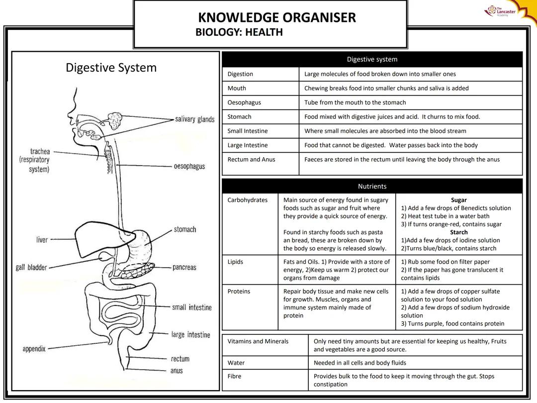 KNOWLEDGE ORGANISER BIOLOGY: HEALTH