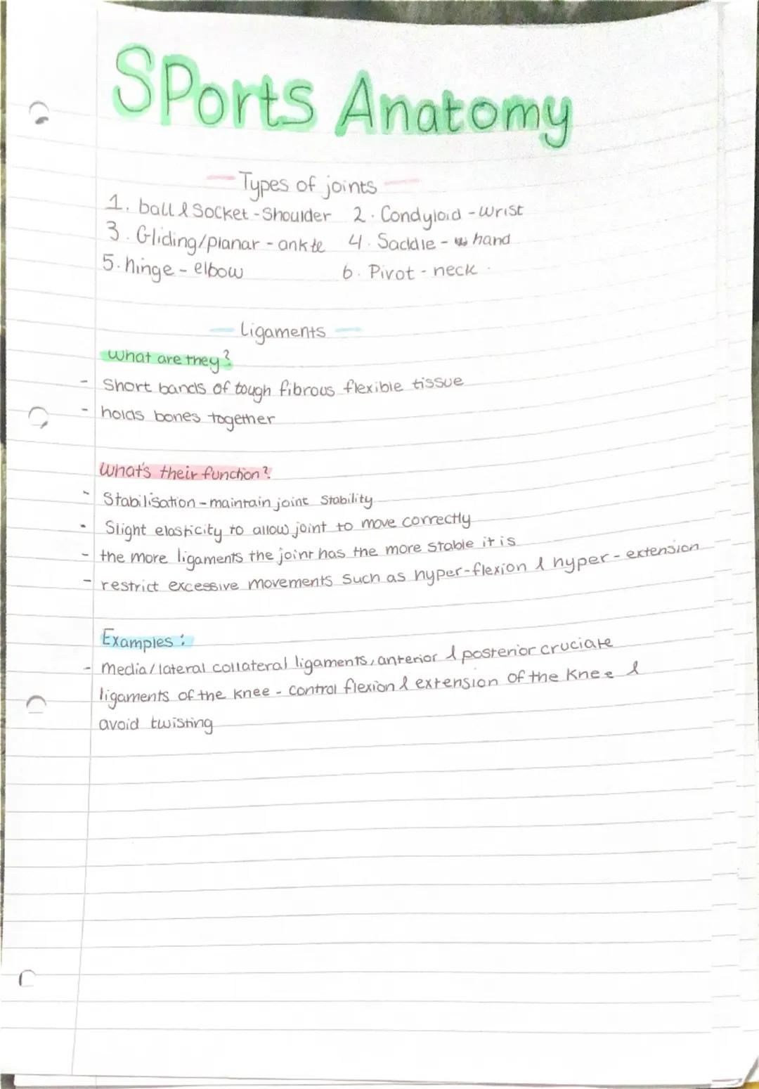 # Sports Anatomy
Anatomy of the bone
- notches -V Shaped depressions at the edge of a fat area
- Fossae - Shallow depression on the surfa