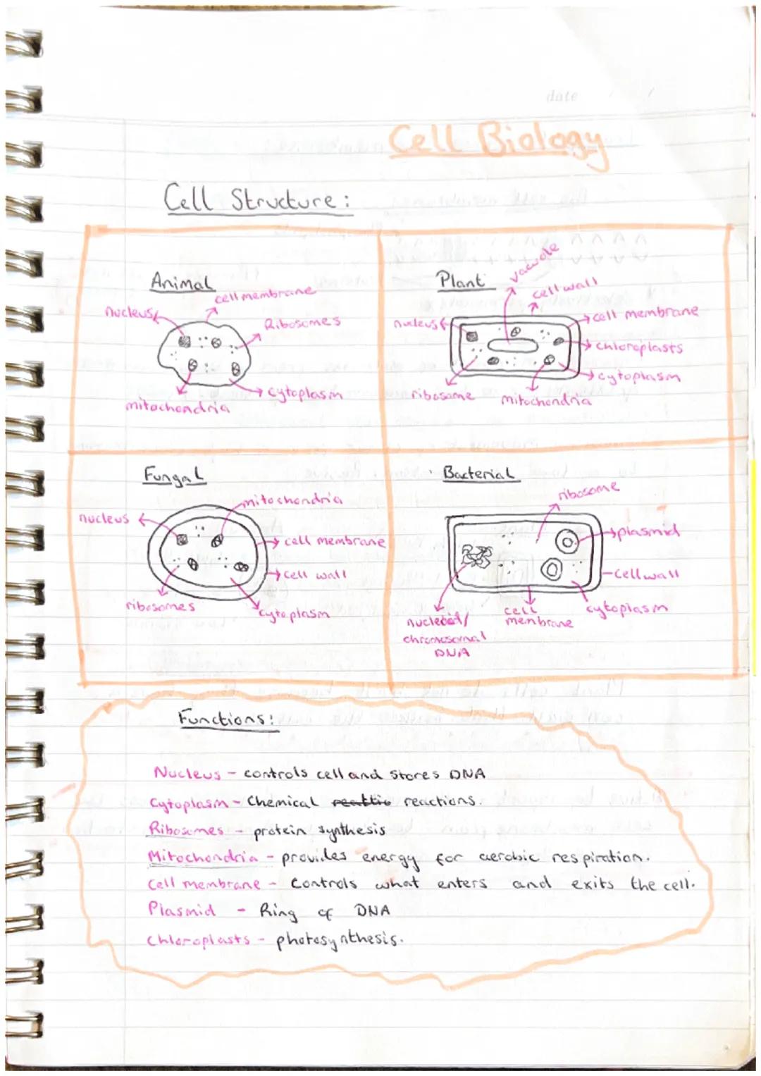 Cell Biology (Nat 5)