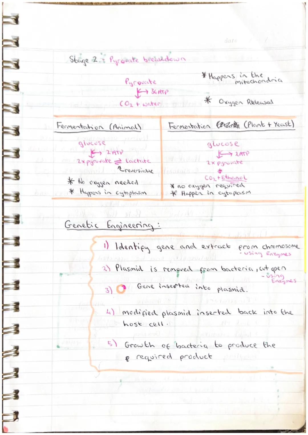 date
# Cell Biology
# Cell Structure:
Animal
nucleust
cell membrane
B
Ribosomes
cytoplasm
meribosome
Mitochondria
Funga L
nucleu